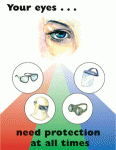 Eye and Face Safety Poster